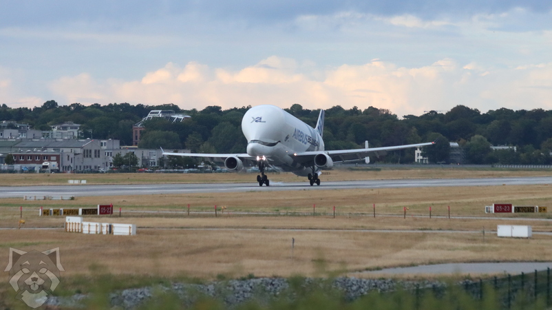 BELUGA PreEF