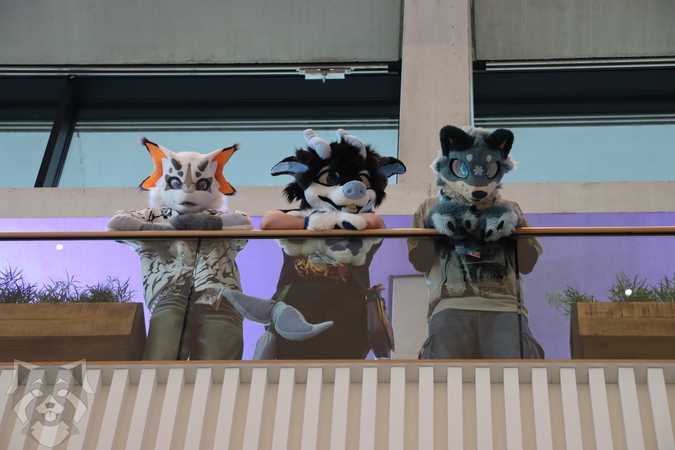 EF-Day3