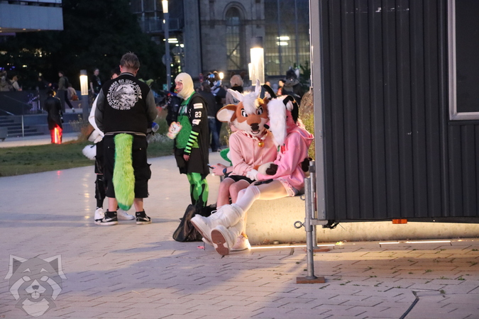 EF-Day5